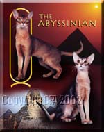 The Abyssinian
